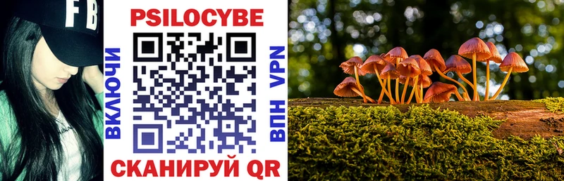 Галлюциногенные грибы MAGIC MUSHROOMS  Уржум 